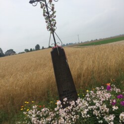 IMG_0510